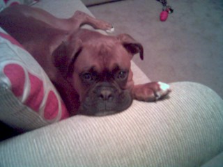 Looking Guilty