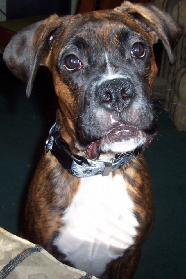 Looking Handsome