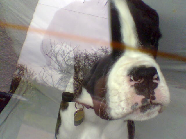 Looking out of the boot.