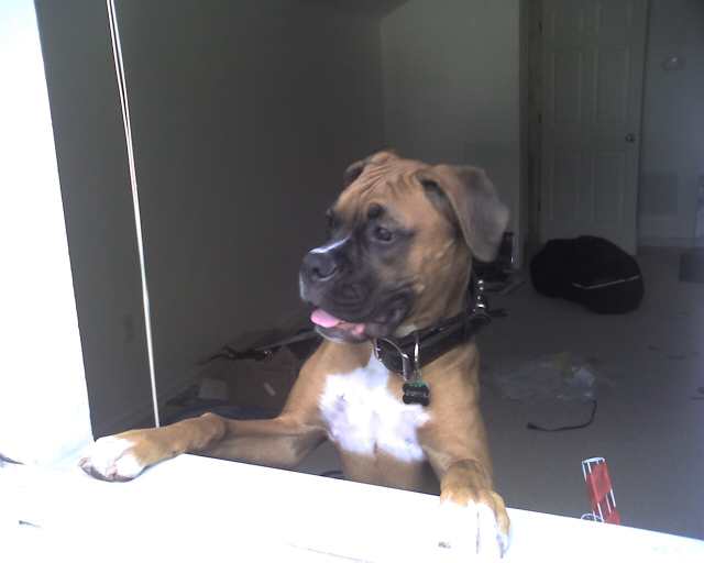 Looking out of the window...