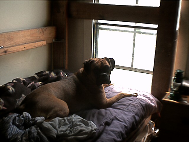 Looking out the window