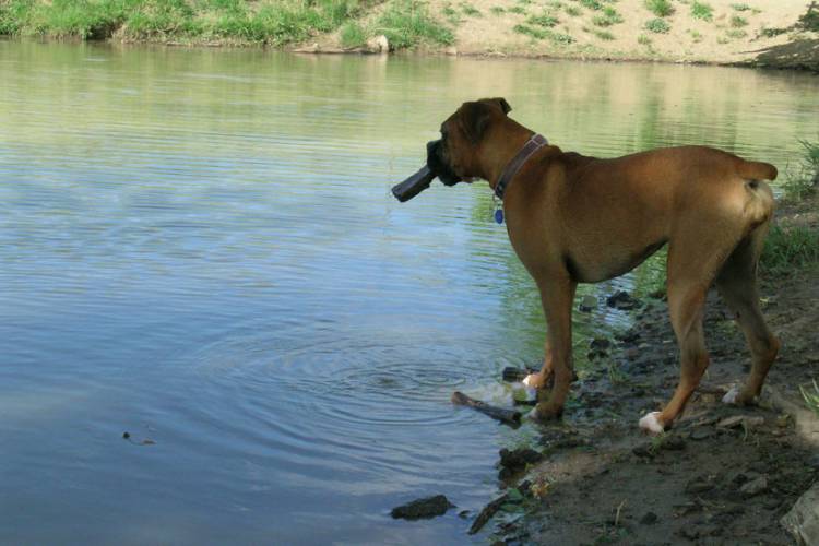 Looking over pond w/my stick