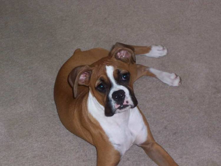 Looking so cute....