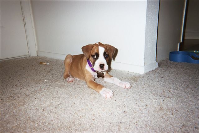 looking so innocent