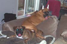 Looks like a good place to sit