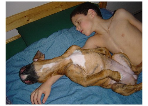 Looks like a sleeping turkey