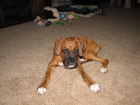 Looong Legs!