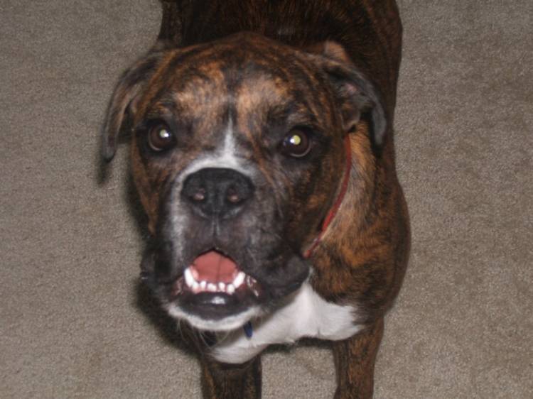 LOOOOK AT MEEE!