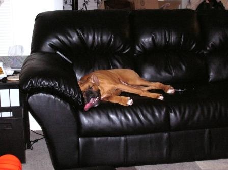 Looooong tongue!!!