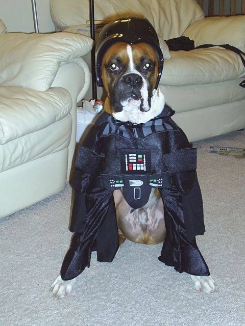 Lord Vader