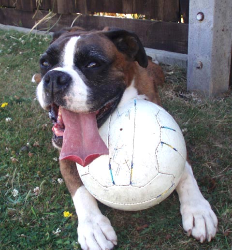 Lottie loves her football.