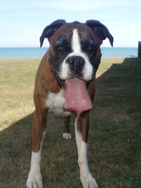 Lottie_12th_July_06