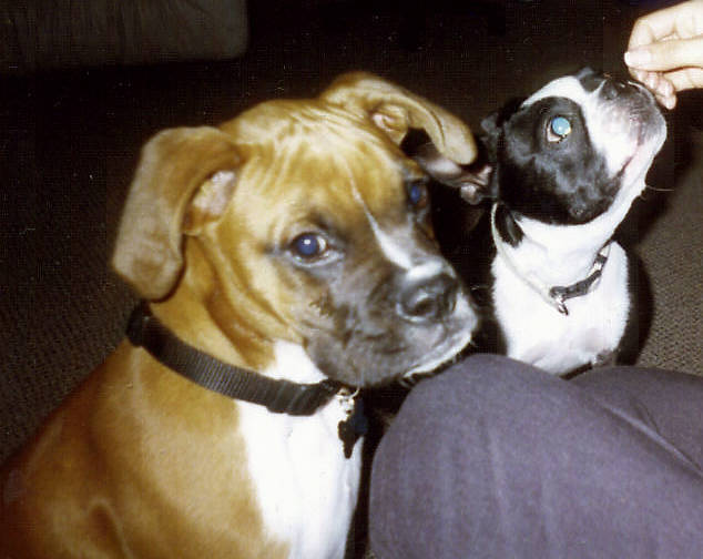 Lou & Buster