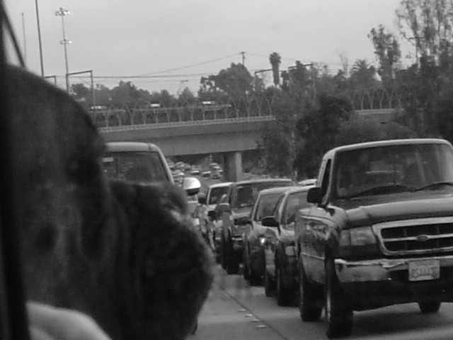 Lou in Traffic