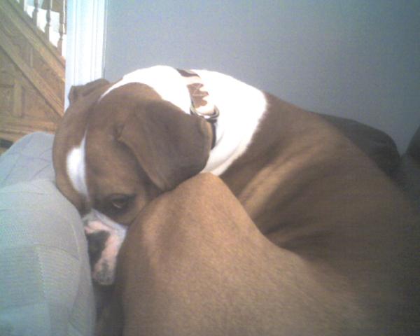 LOU SNUGGLING