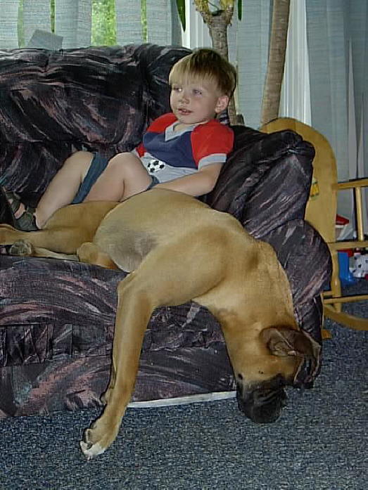 lounge chair comfort