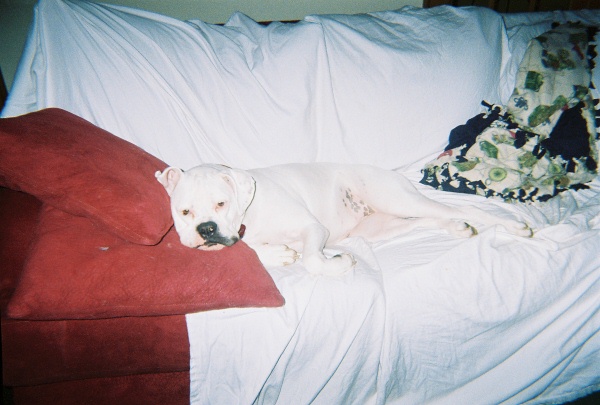 Lounge princess