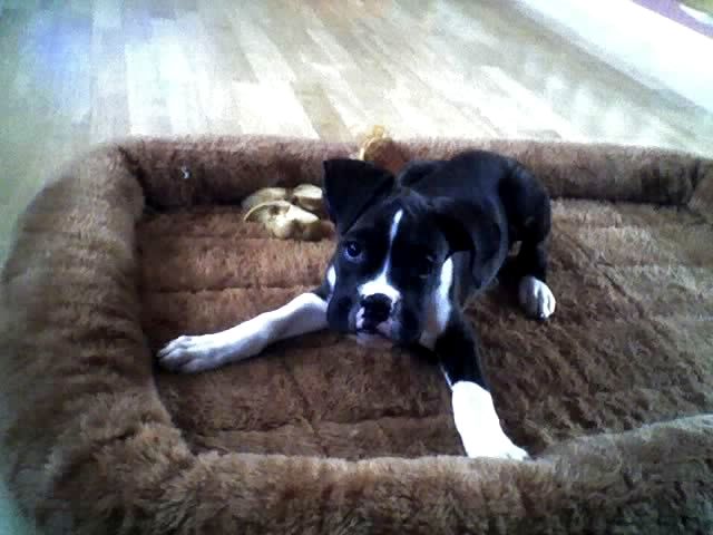 loungin