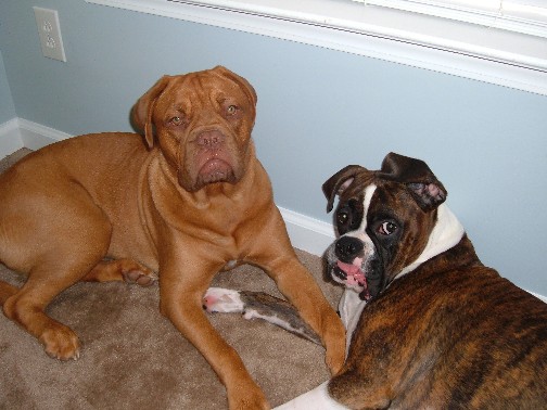 Lounging around...