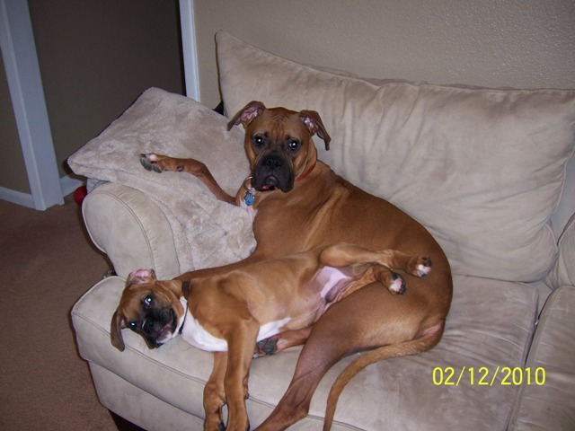 Lounging around