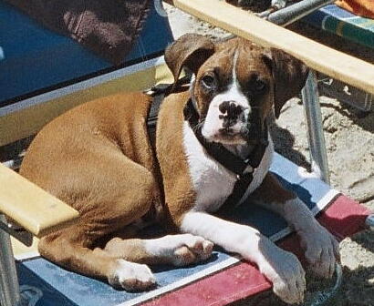 Lounging at the Beach