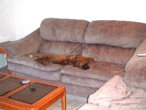 Lounging on the couch