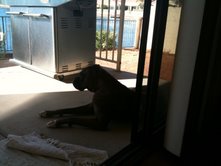 Lounging on the patio