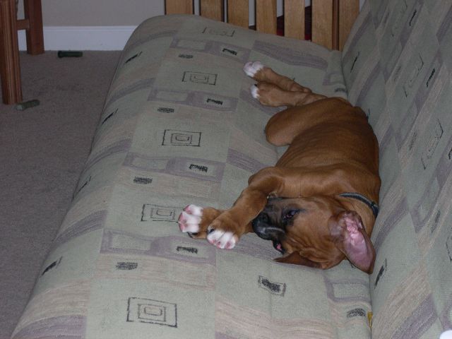 Lounging