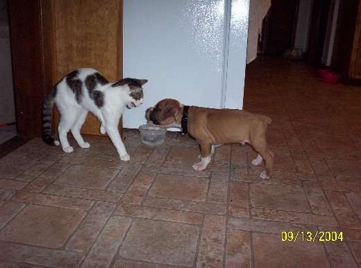 Love at first sight!