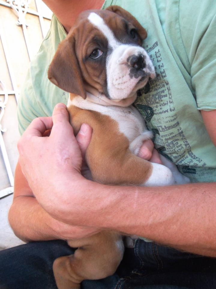 Love at first sight