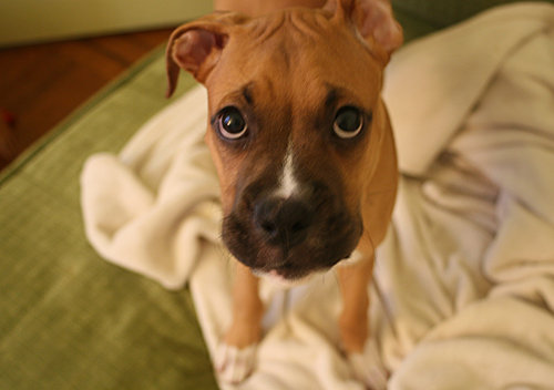 Love Me Please
