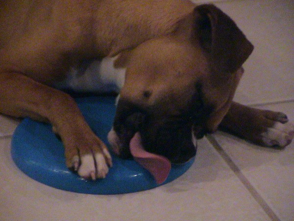 Love my frisbee!