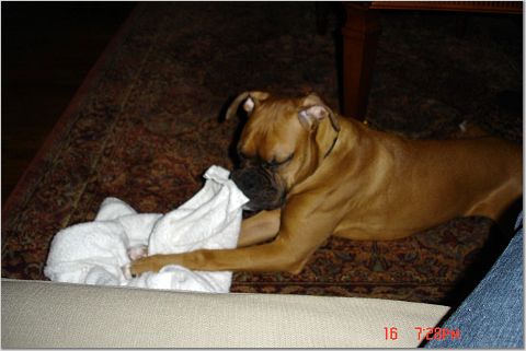 love my towel