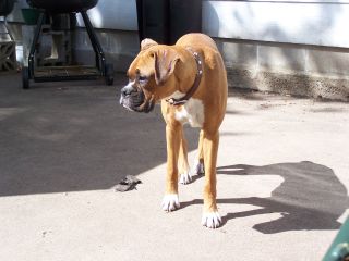 Love my Zeus!
