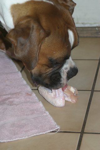 Love that chicken wing!