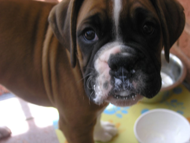 Love that yoghurt!