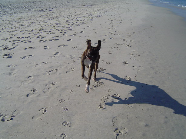 love the beach!