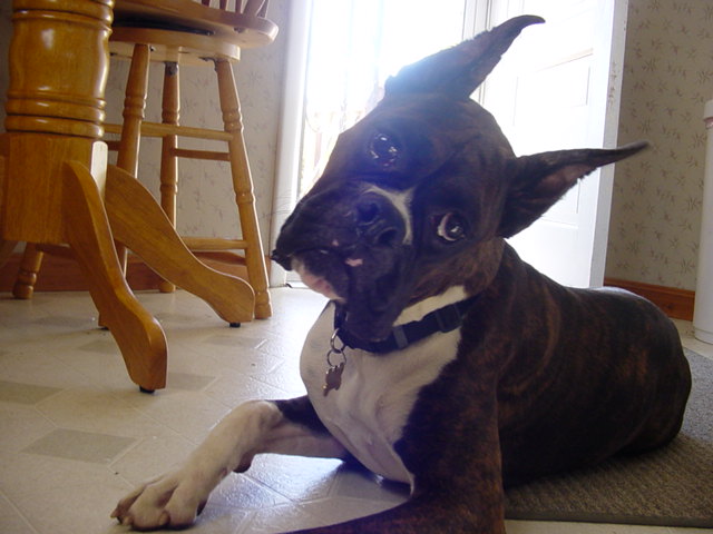 Love the head nod.