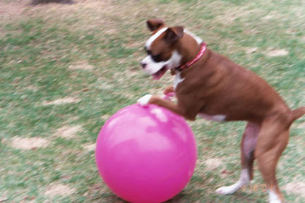 Love this Ball!!