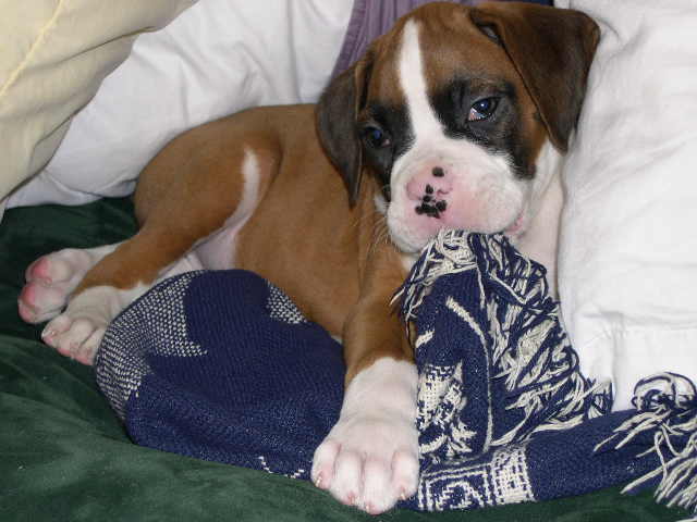 Love this blanky