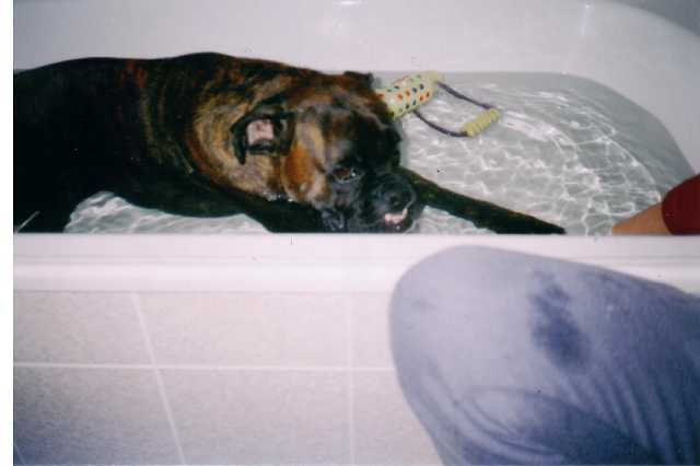 Love_my_bath