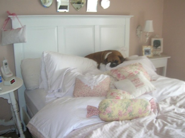 Loves the Pillows