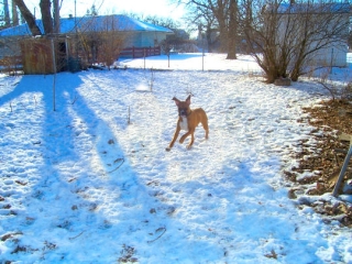 Loves to run!