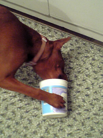 Loves Yogurt!