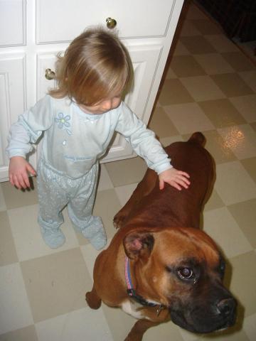 Lovin' on Odie