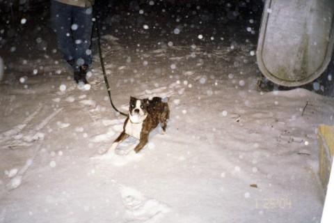 Lovin the snow!