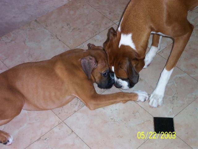 Loving kiss from Becky