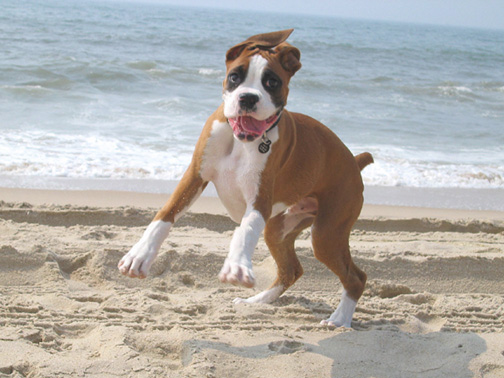 Loving the beach