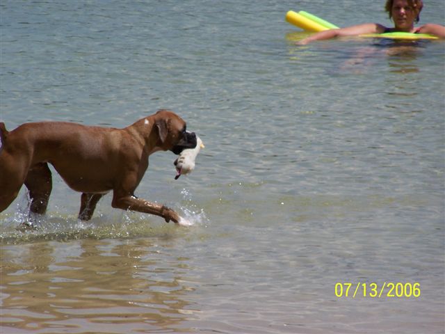 Loving the water!