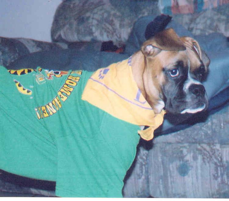 LSU princess, Geaux Tigers!